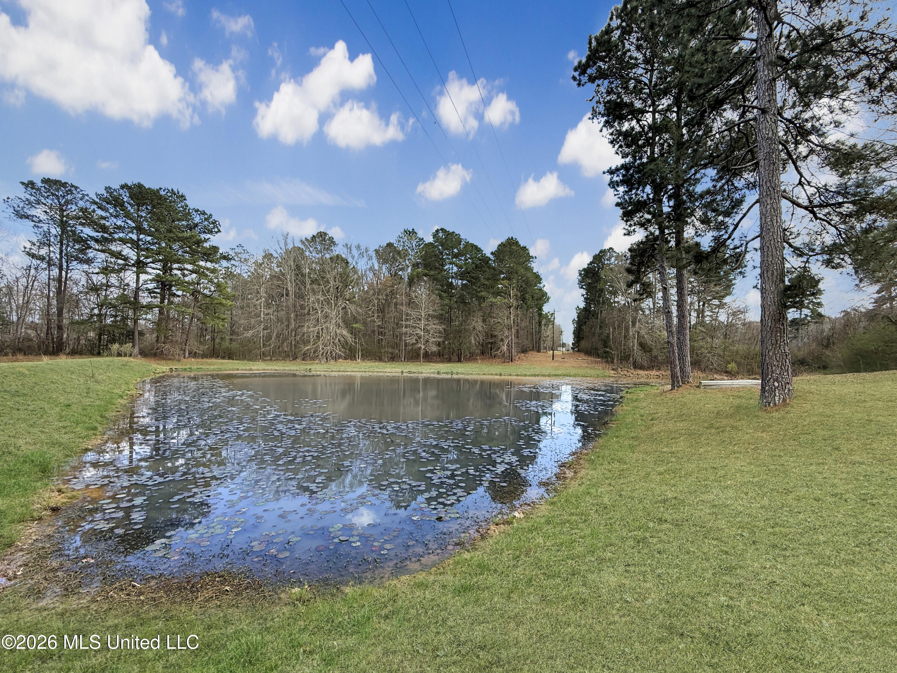 3076 Shiloh Road Pelahatchie, MS 39145 - Photo 32 of 45 c588a174d9cd9fb05d4c6ed003e8b2b8577e7a34