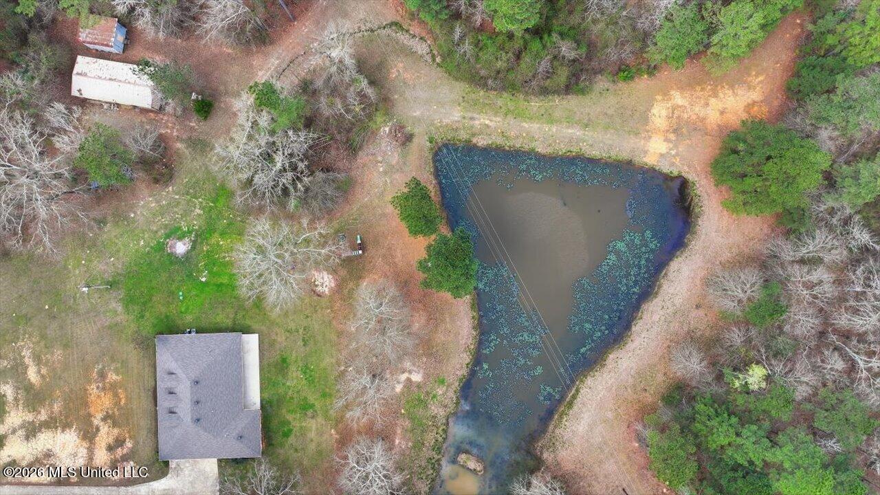 3076 Shiloh Road Pelahatchie, MS 39145 - Photo 40 of 45 23-3076 Shiloh Rd _ Home Tours MS