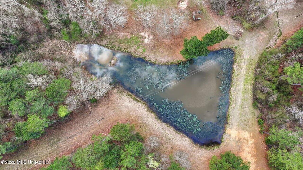 3076 Shiloh Road Pelahatchie, MS 39145 - Photo 41 of 45 25-3076 Shiloh Rd _ Home Tours MS