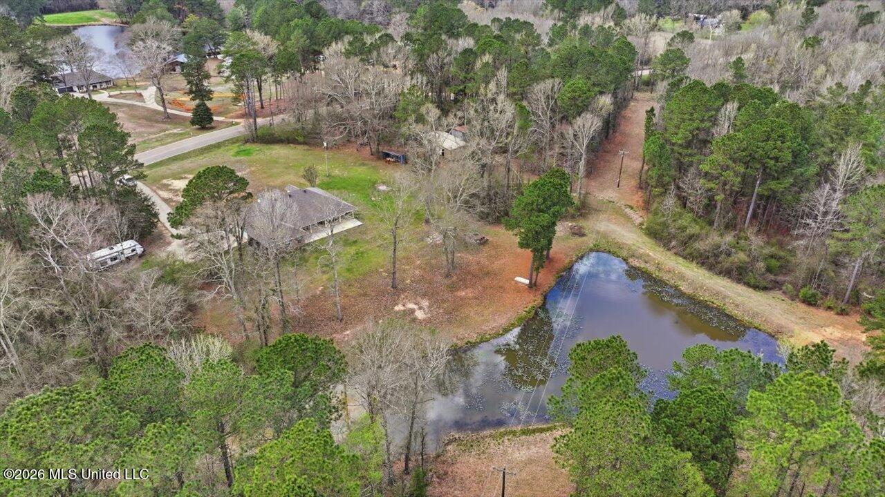 3076 Shiloh Road Pelahatchie, MS 39145 - Photo 44 of 45 35-3076 Shiloh Rd _ Home Tours MS