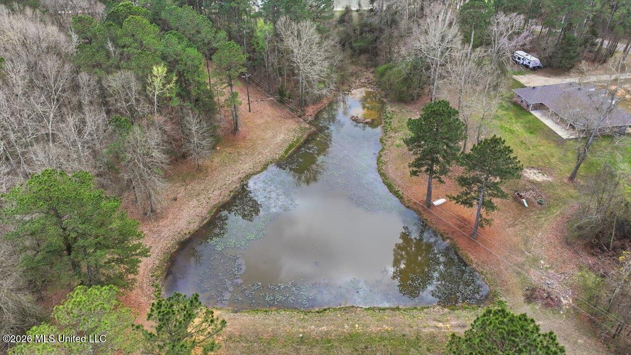 3076 Shiloh Road Pelahatchie, MS 39145 - Photo 45 of 45 38-3076 Shiloh Rd _ Home Tours MS