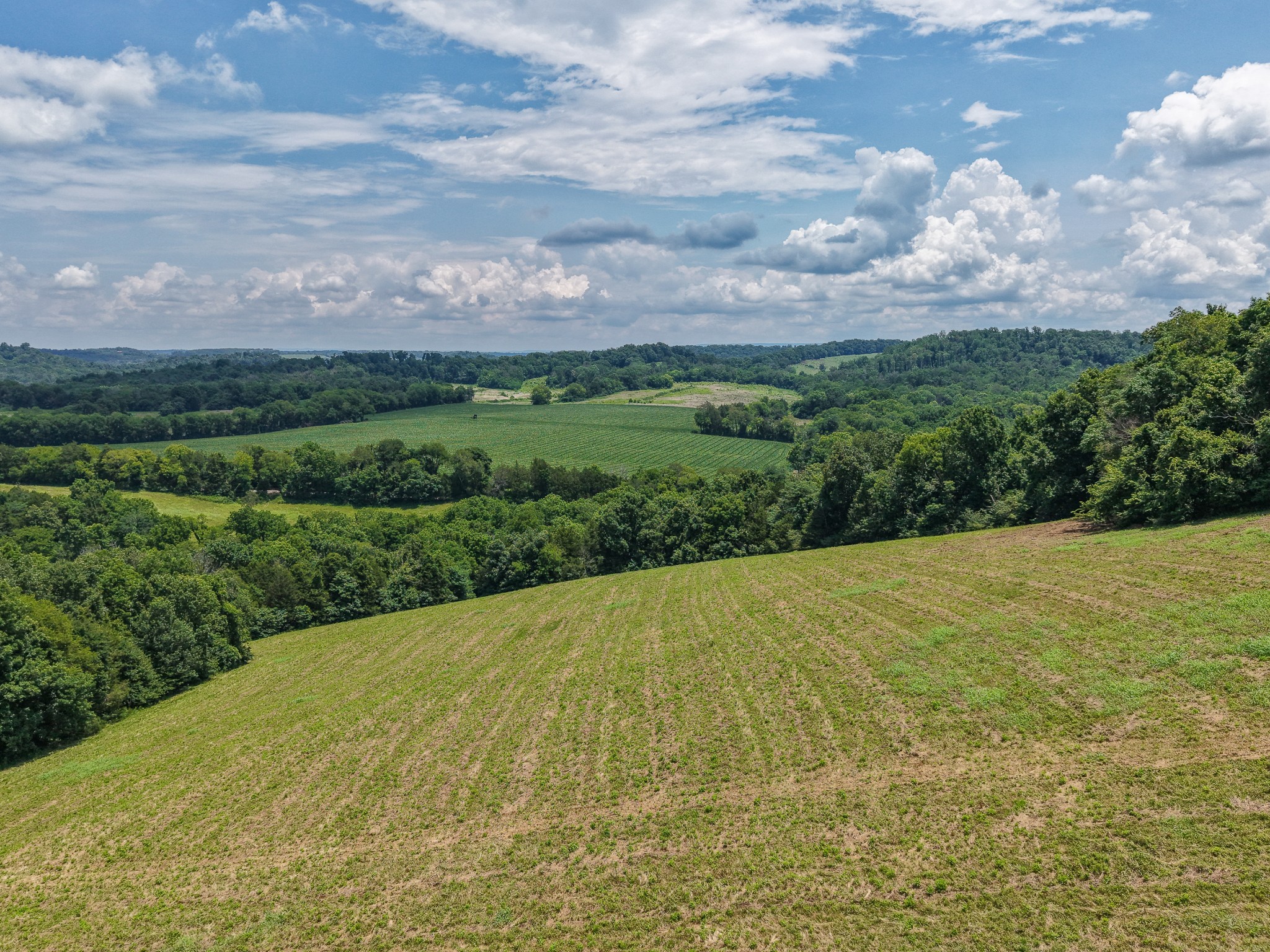 0 Smithland Road Kelso, TN 37348 - Photo 9 of 17