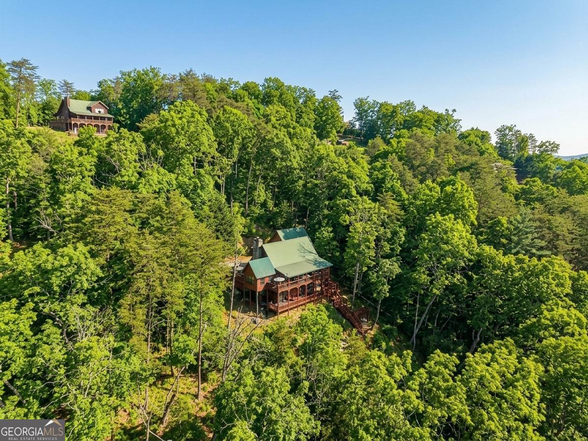 232 Ranch Mountain Drive Dahlonega, GA 30533 - Photo 56 of 65