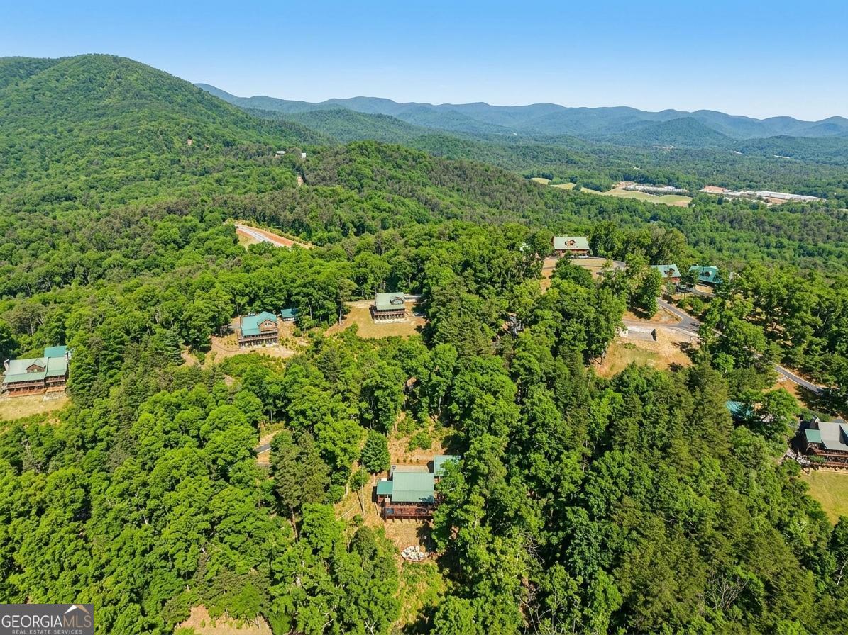 232 Ranch Mountain Drive Dahlonega, GA 30533 - Photo 58 of 65