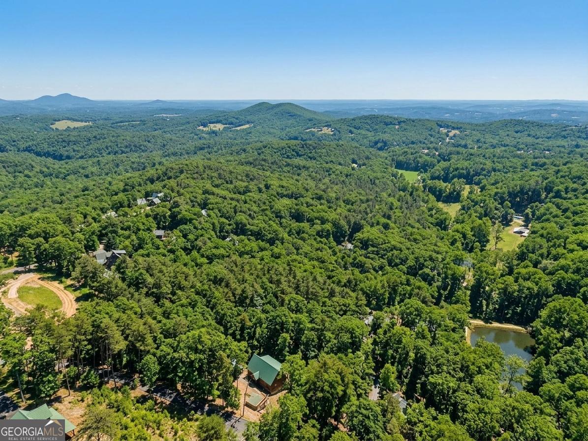 232 Ranch Mountain Drive Dahlonega, GA 30533 - Photo 59 of 65