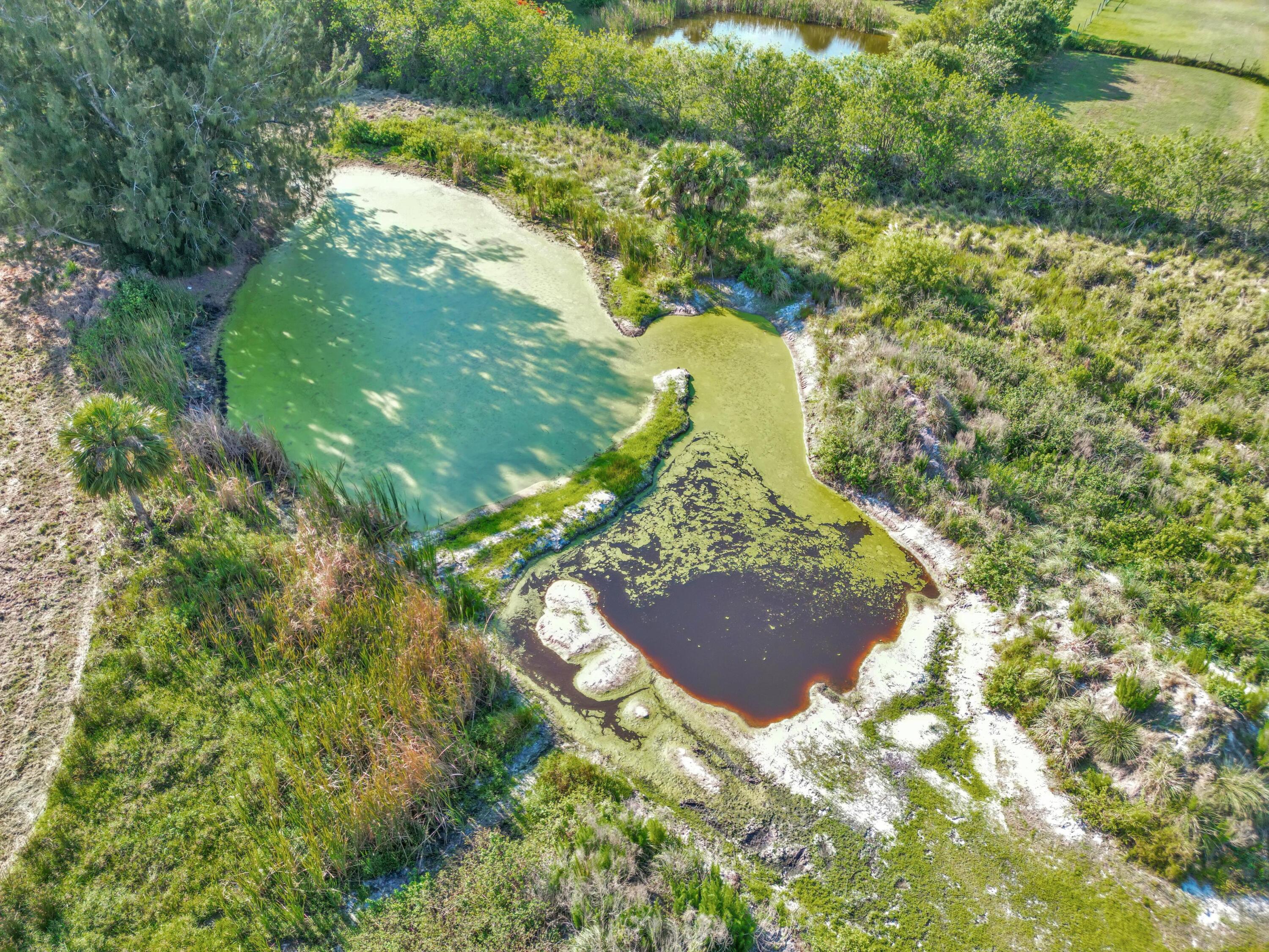 2868 Gentile Road Fort Pierce, FL 34945 - Photo 9 of 38 photo may 19 2024, 4 52 06 pm