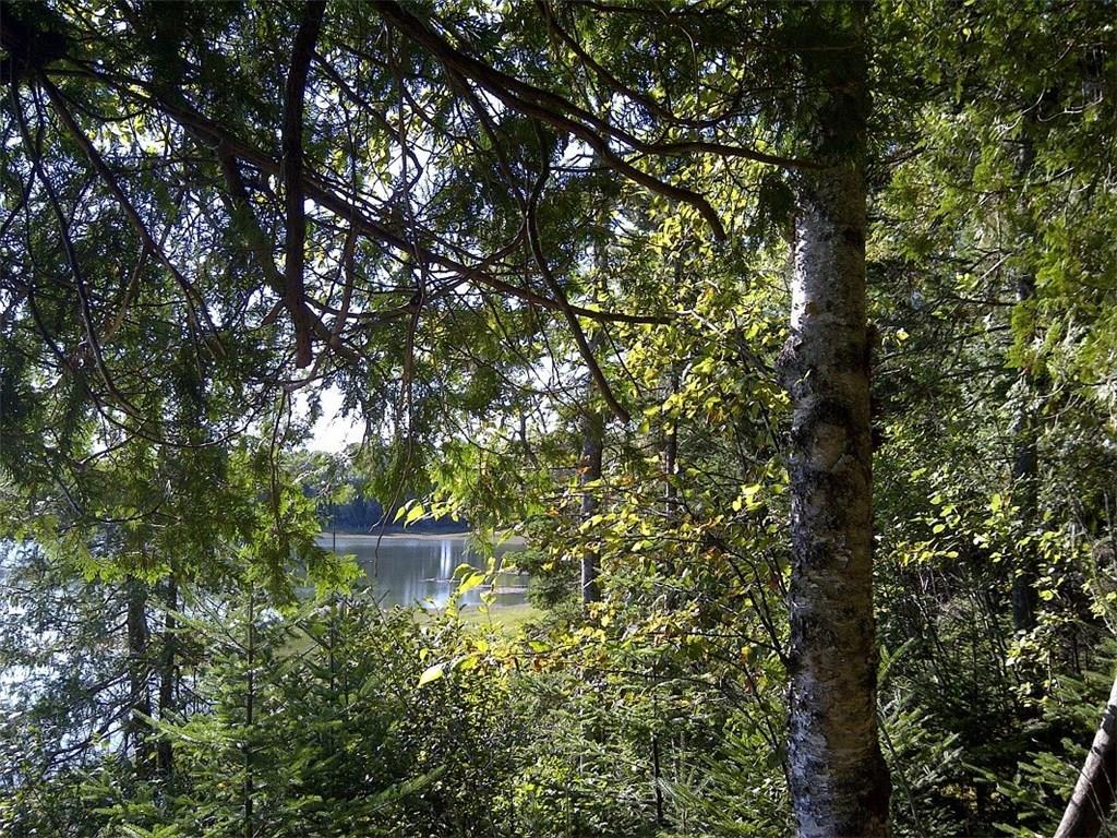 79 Coffins Neck Road Lubec, ME 04652 - Photo 2 of 8 Land