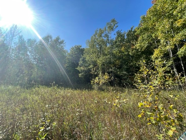Old Lime Kiln Road Baileys Harbor, WI 54202 - Photo 4 of 14