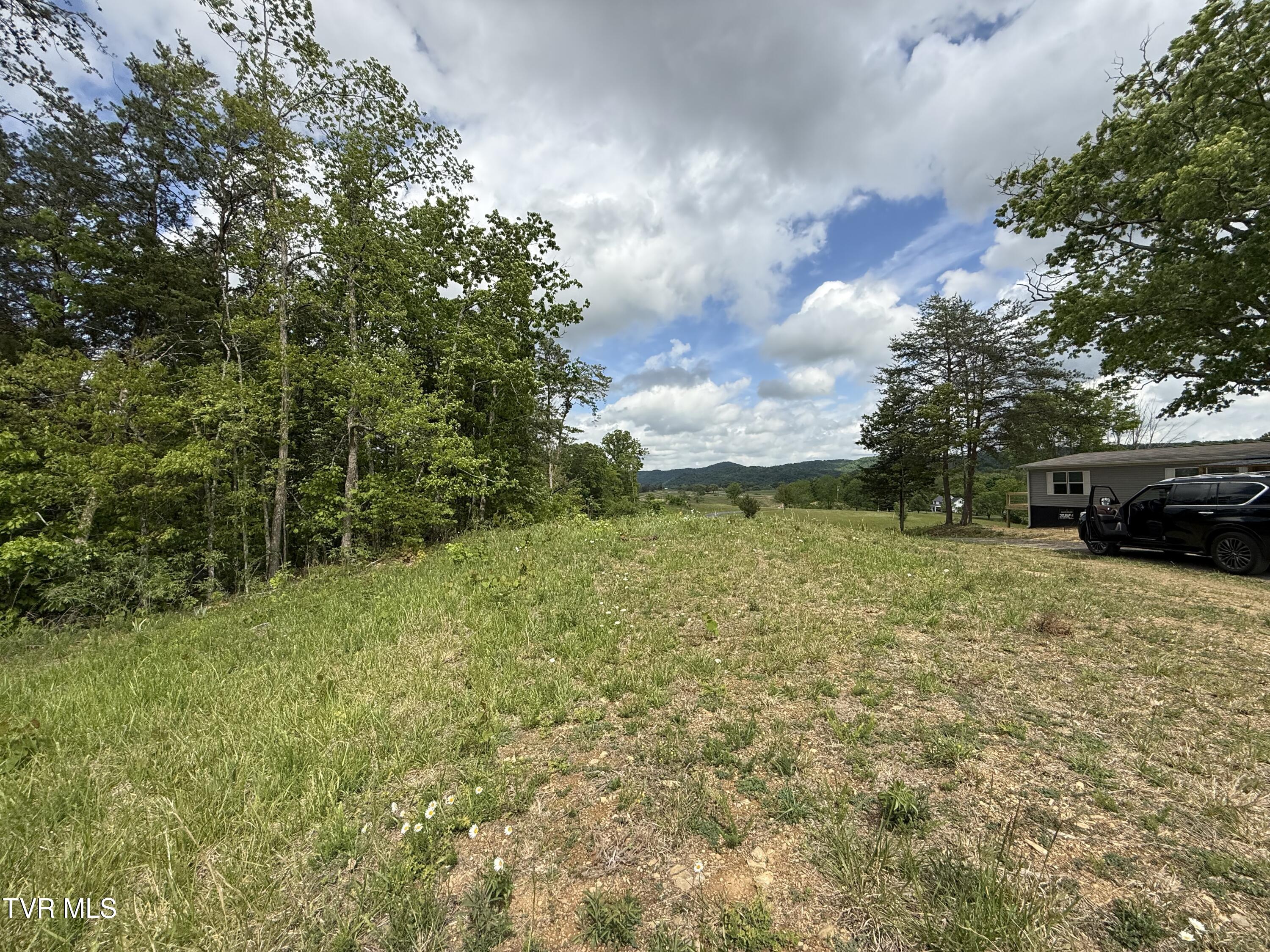 115 Walker Road Bulls Gap, TN 37711 - Photo 3 of 6 02
