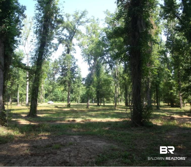 17 Sandy Bottoms Road Gainestown, AL 36540 - Photo 4 of 4