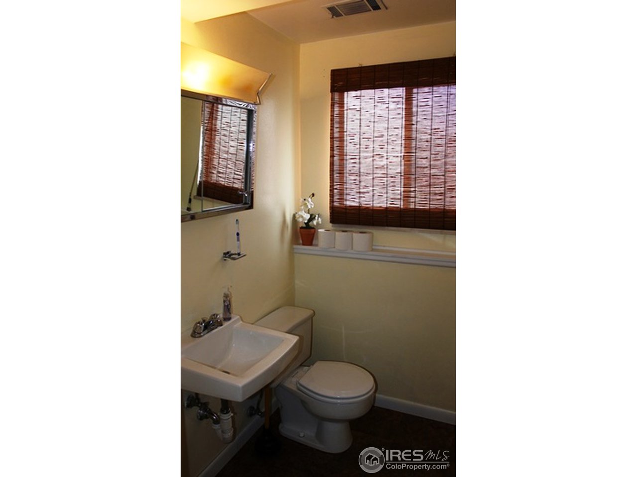 417 Briarwood Road Fort Collins, CO 80521 - Photo 11 of 20 Lower level bathroom