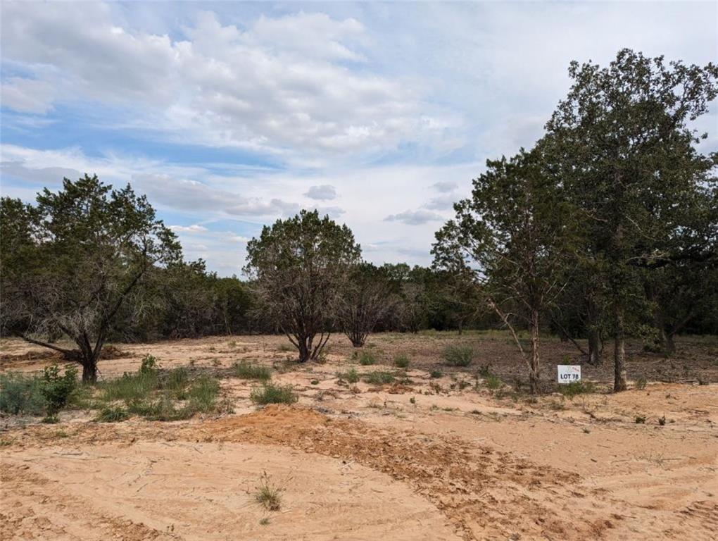 1024 Rose Court Nemo, TX 76070 - Photo 2 of 11 a view of a covered with snow on the road