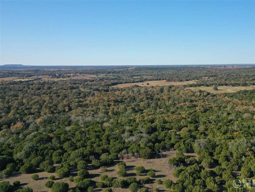 1024 Rose Court Nemo, TX 76070 - Photo 5 of 11 view of a city