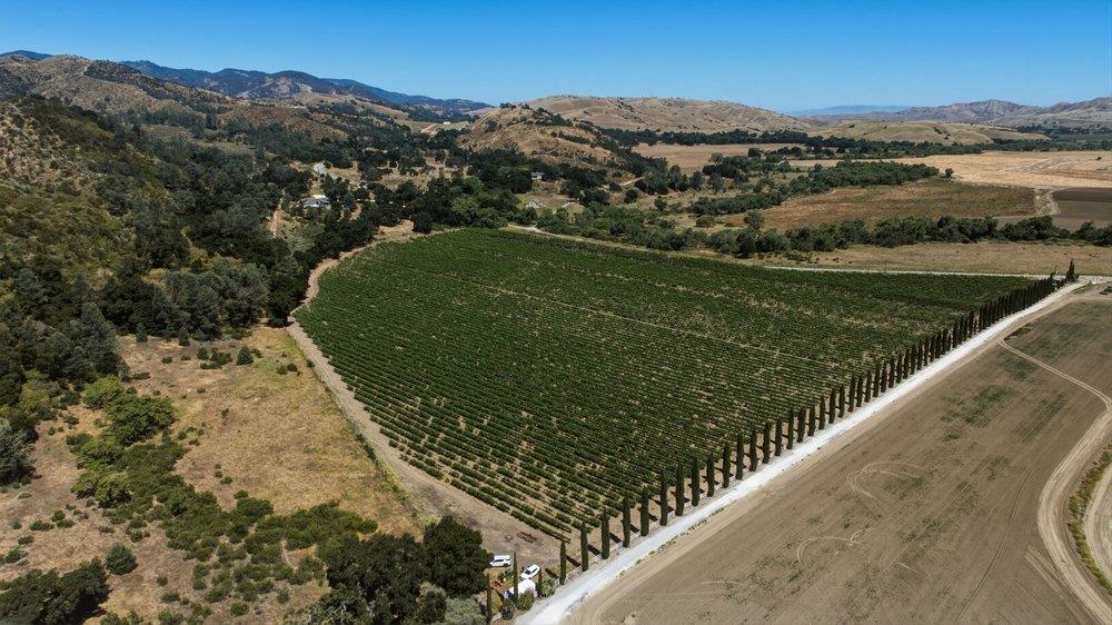24.5-acres Cienega Road Paicines, CA 95043 - Photo 5 of 38