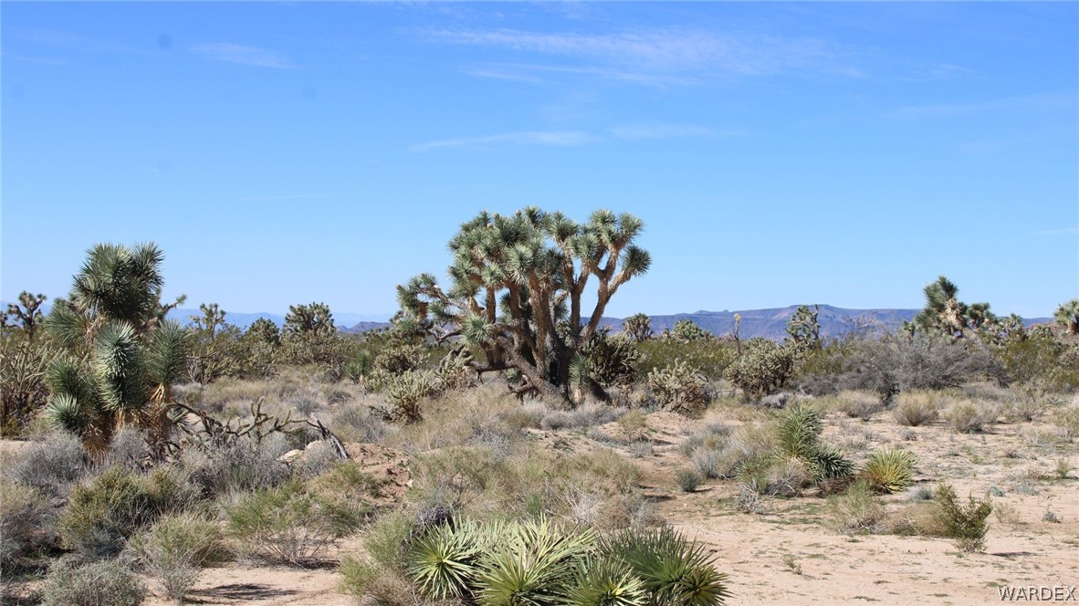 11961 Sherry Road Yucca, AZ 86438 - Photo 3 of 11