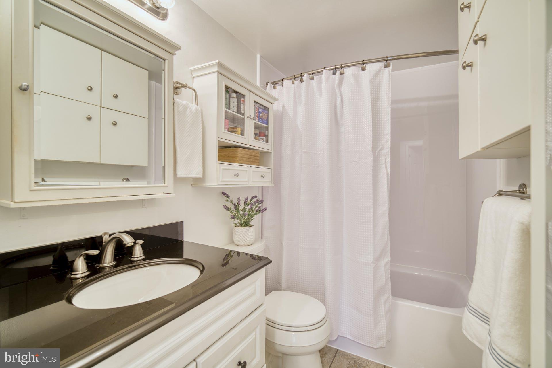 8286 Raindrop Way Springfield, VA 22153 - Photo 15 of 40 Full Bathroom on Main Level