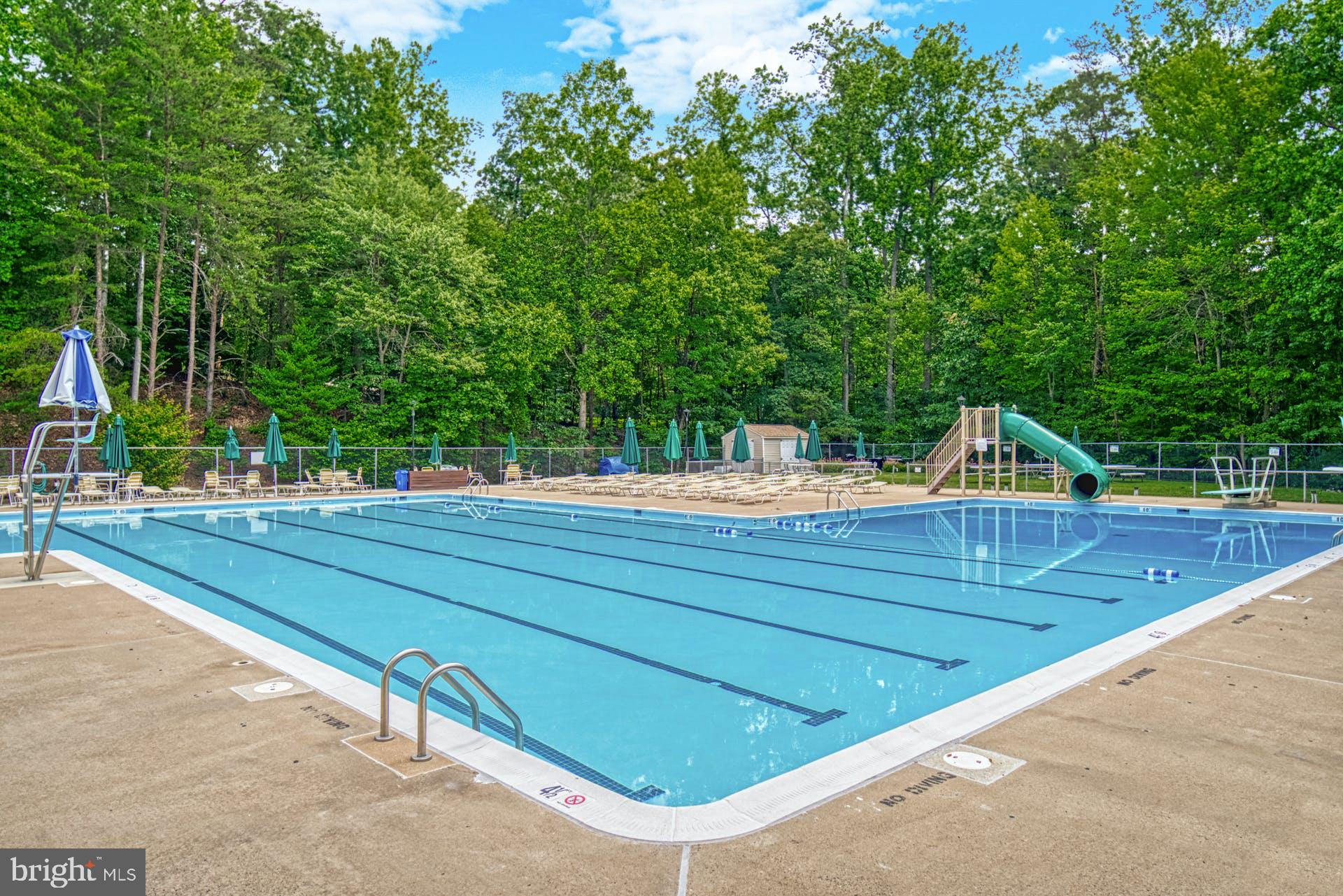 8286 Raindrop Way Springfield, VA 22153 - Photo 36 of 40 Pool