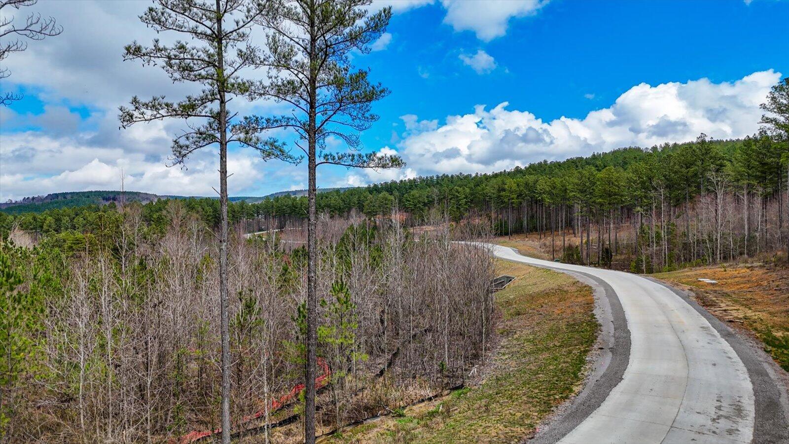 0 Birds Eye Way, Unit LOT 1065 Guild, TN 37340 - Photo 12 of 29 02-Birds Eye Way #1065-2