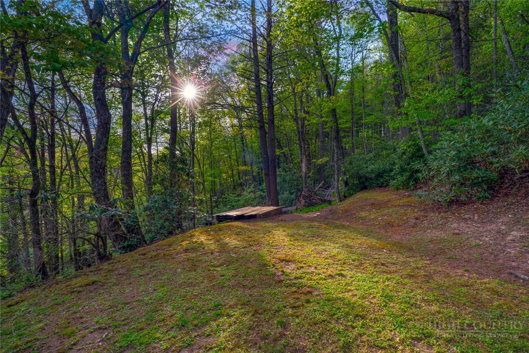 217 Holiday Hills Drive Boone, NC 28607 - Photo 7 of 26 a view of a yard with trees in the background