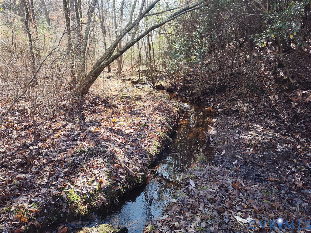 108.5-ac Buzzards Neck Road Lancaster, VA 22503 - Photo 40 of 50