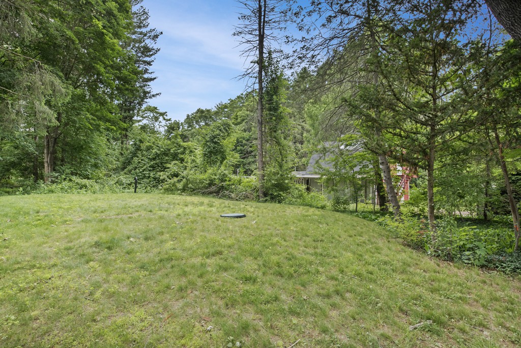 11 Forrest Road Topsfield, MA 01983 - Photo 8 of 30 a big yard with lots of green space and trees