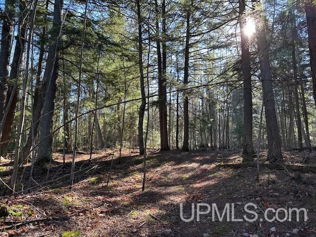 0 North Point Road Au Train, MI 49806 - Photo 13 of 20