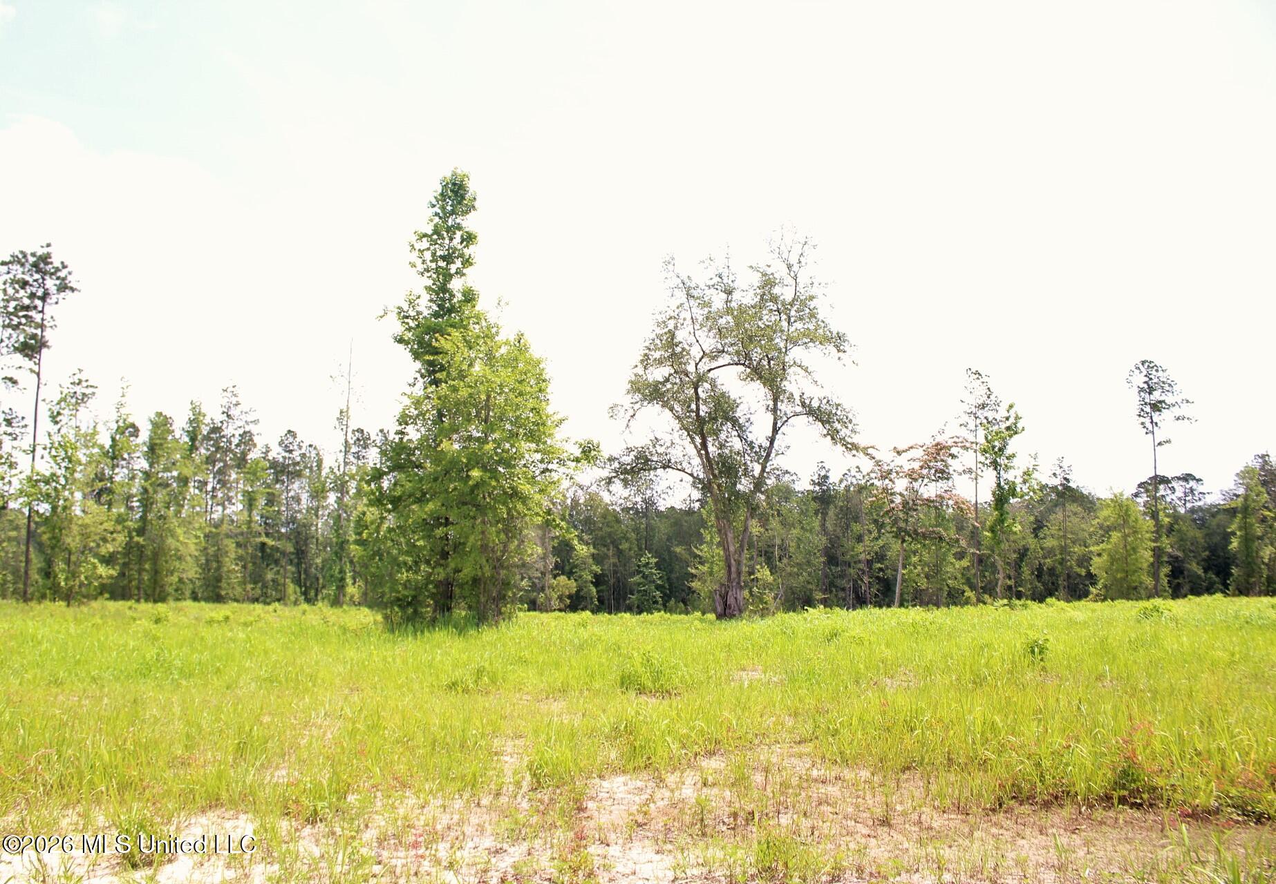 24.48-ac River Road Lucedale, MS 39452 - Photo 14 of 19 IMG_3927