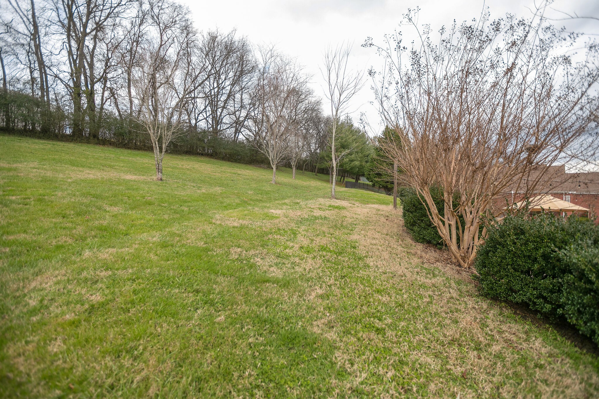 3029 Viewpointe Way Columbia, TN 38401 - Photo 37 of 40 a view of a field with large trees