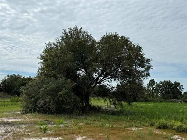 a view of lake with green space
