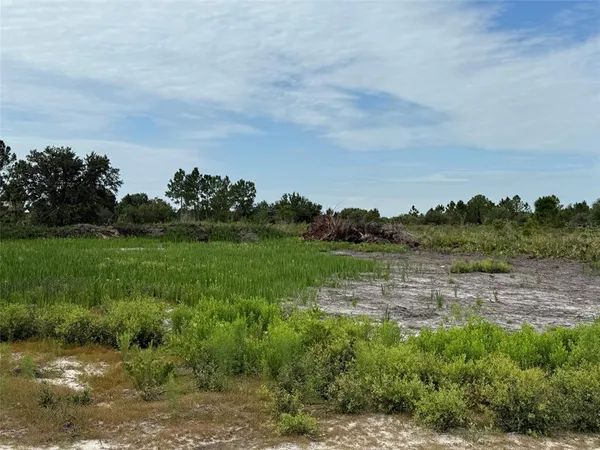 a view of lake with green space
