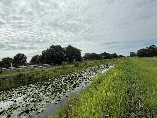 a view of a green field of grass and trees