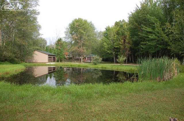 10359 Elms Road Montrose, MI 48457 - Photo 19 of 20 20444043-18.JPG