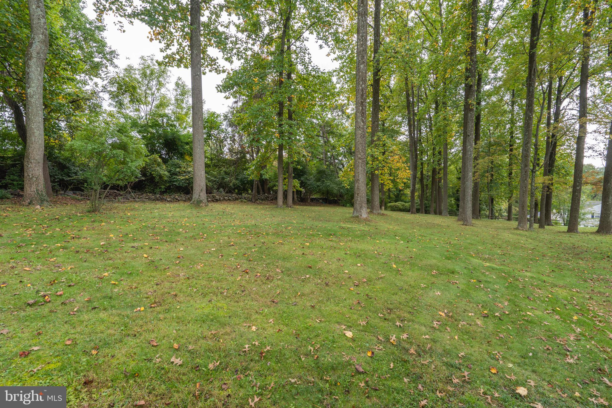 1218 Eagle Road West Chester, PA 19382 - Photo 16 of 51 Can you imagine a Hammock