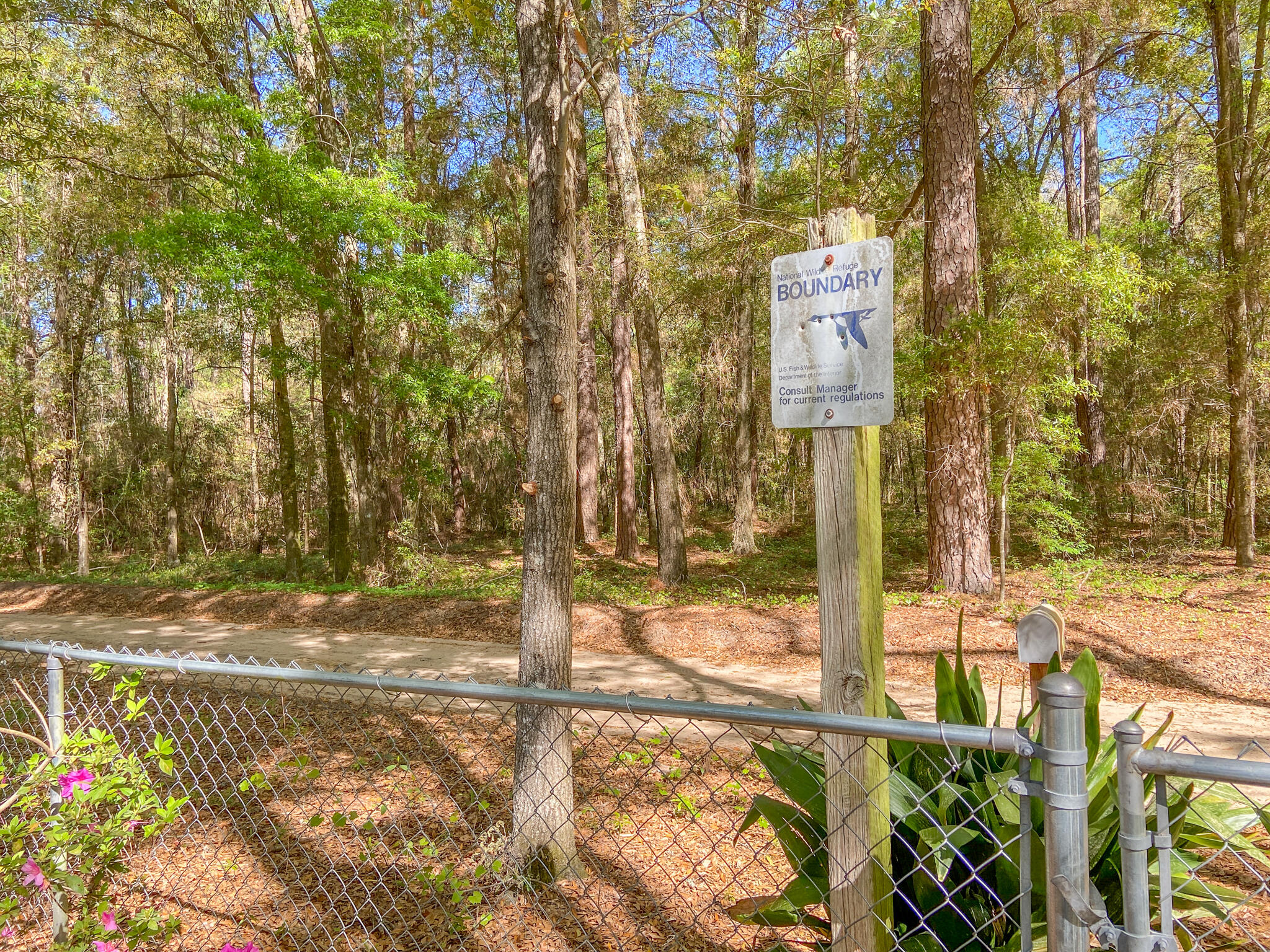 1119 Gray Road Summerton, SC 29148 - Photo 20 of 21 Size-11