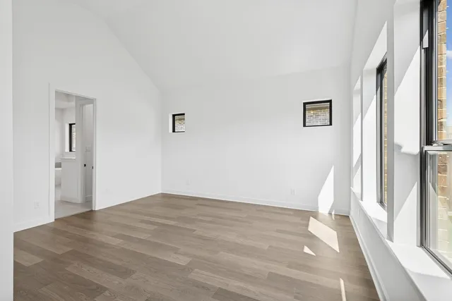 a view of a park with large trees