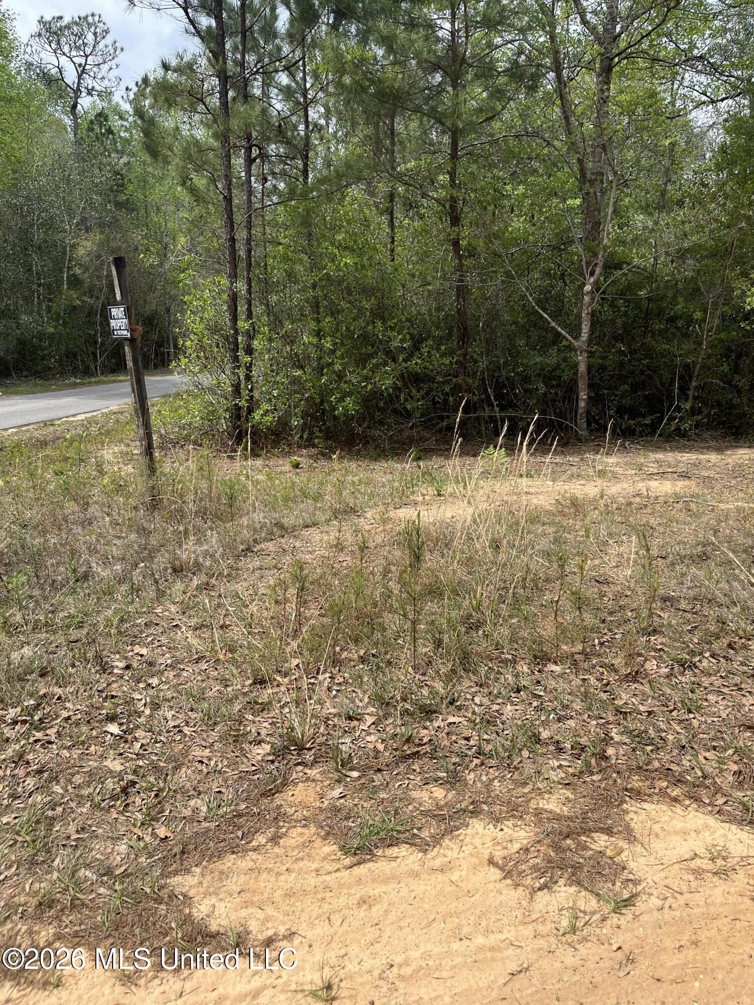 21 Range Line Road Perkinston, MS 39573 - Photo 3 of 7 IMG_3560