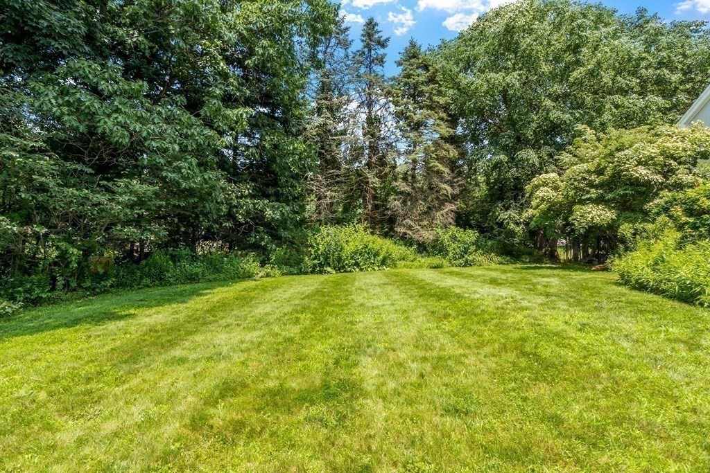 84 Monument Farm Road Concord, MA 01742 - Photo 30 of 34 a view of yard with green space
