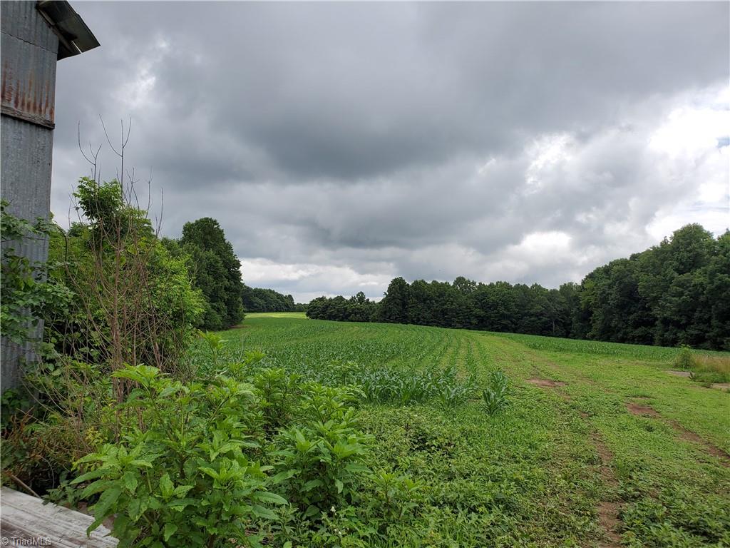 429 Harbour Lane Dobson, NC 27017 - Photo 12 of 13