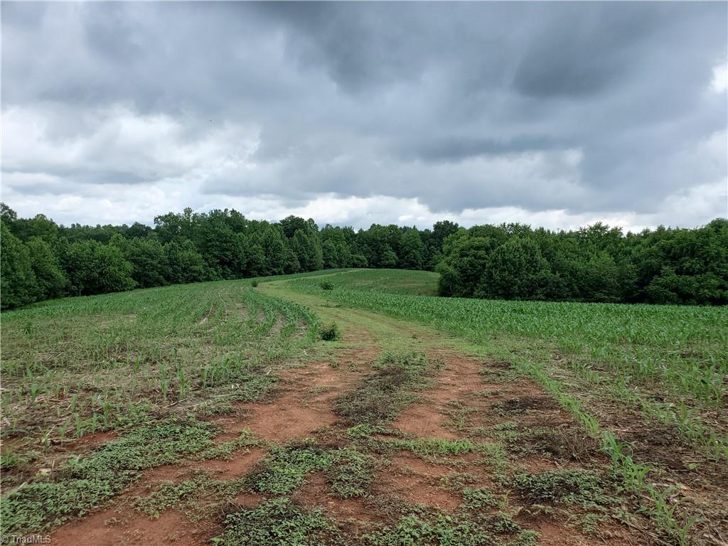429 Harbour Lane Dobson, NC 27017 - Photo 13 of 13