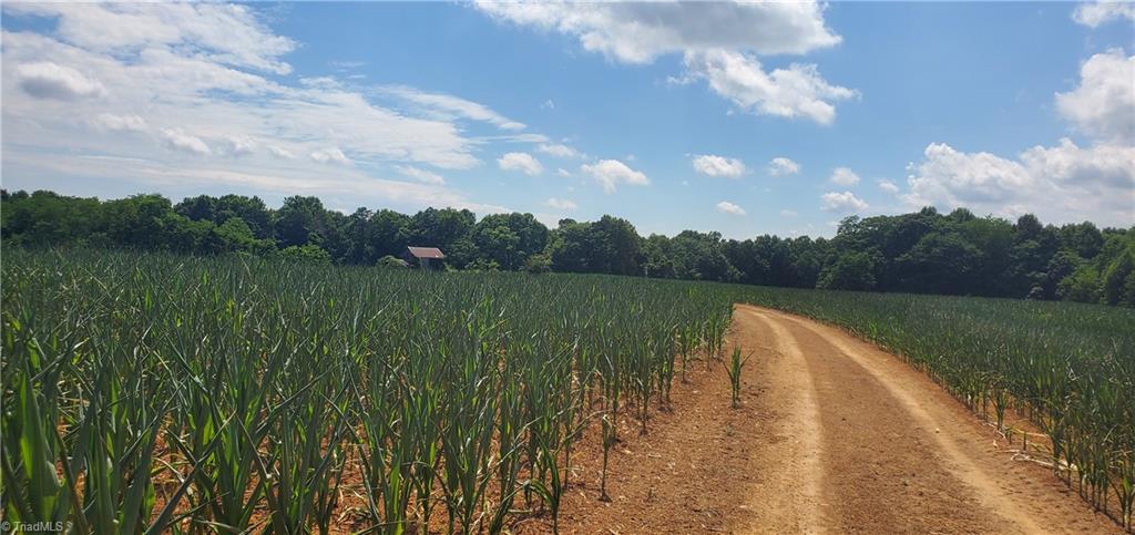 429 Harbour Lane Dobson, NC 27017 - Photo 2 of 13