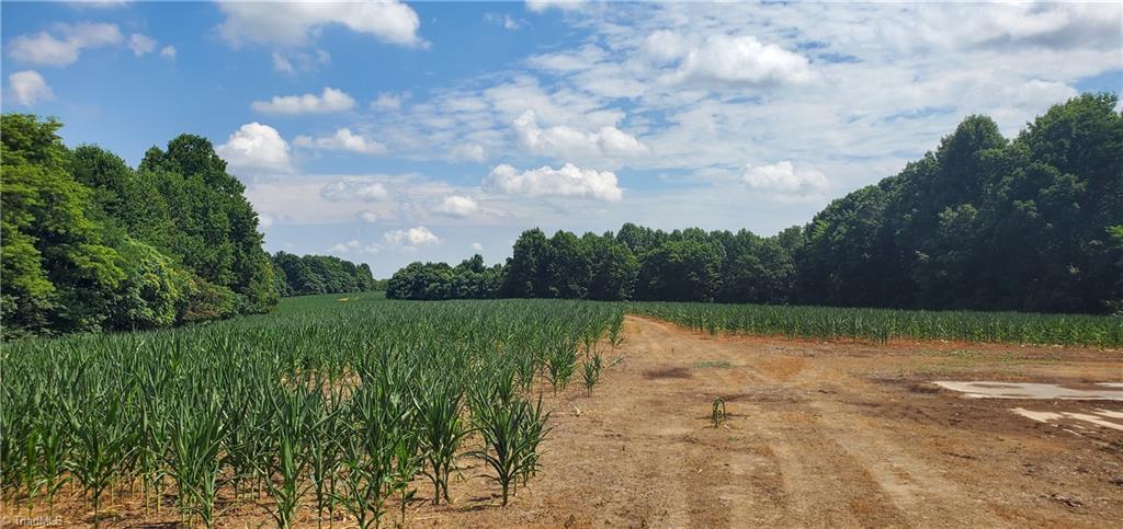 429 Harbour Lane Dobson, NC 27017 - Photo 3 of 13