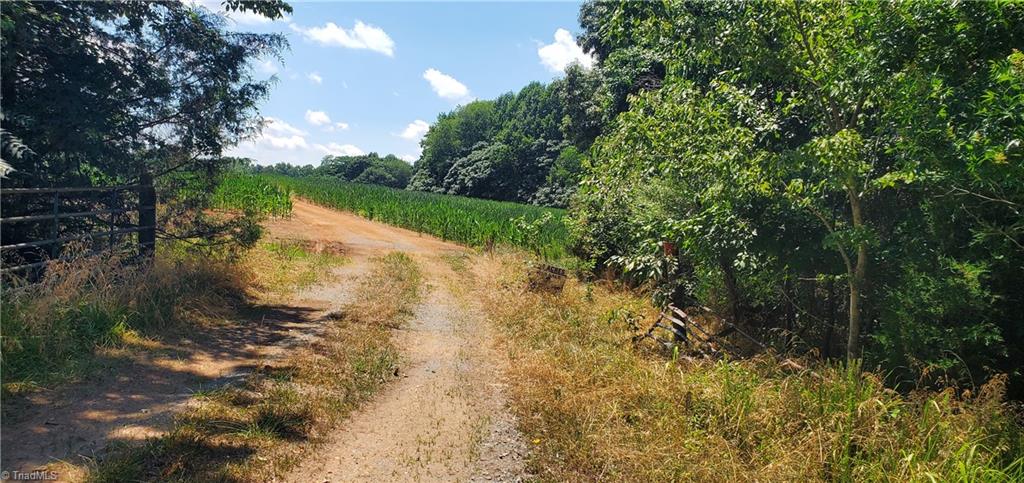 429 Harbour Lane Dobson, NC 27017 - Photo 4 of 13