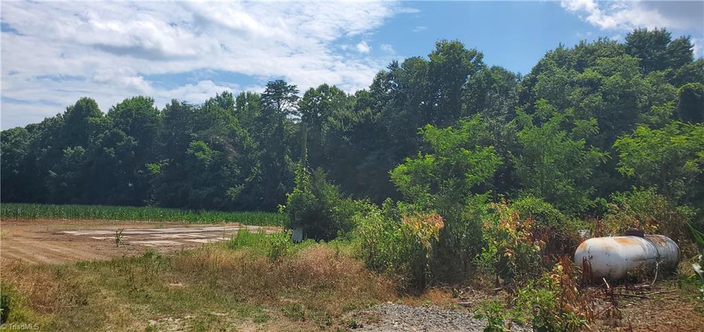 429 Harbour Lane Dobson, NC 27017 - Photo 5 of 13