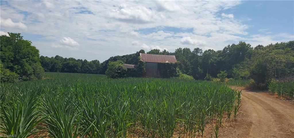 429 Harbour Lane Dobson, NC 27017 - Photo 6 of 13