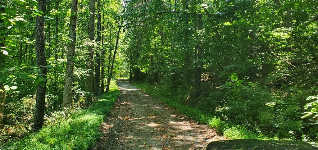 429 Harbour Lane Dobson, NC 27017 - Photo 8 of 13