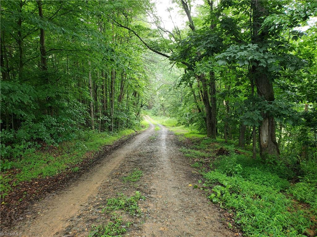 429 Harbour Lane Dobson, NC 27017 - Photo 10 of 13