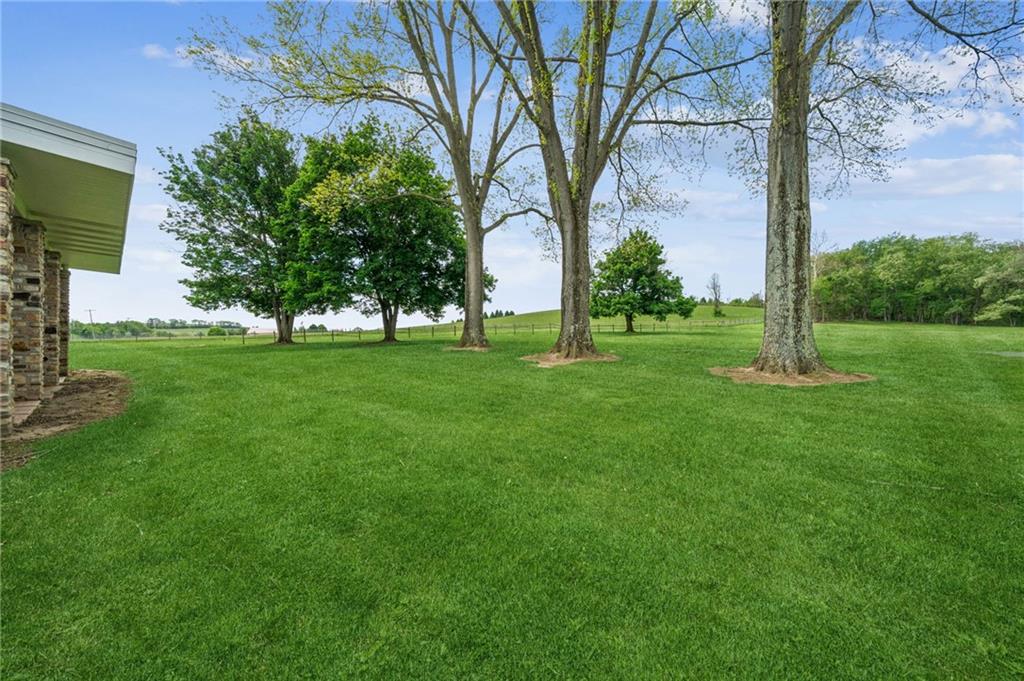 163 Banning Road Dawson, PA 15428 - Photo 42 of 50 Beautiful Yard