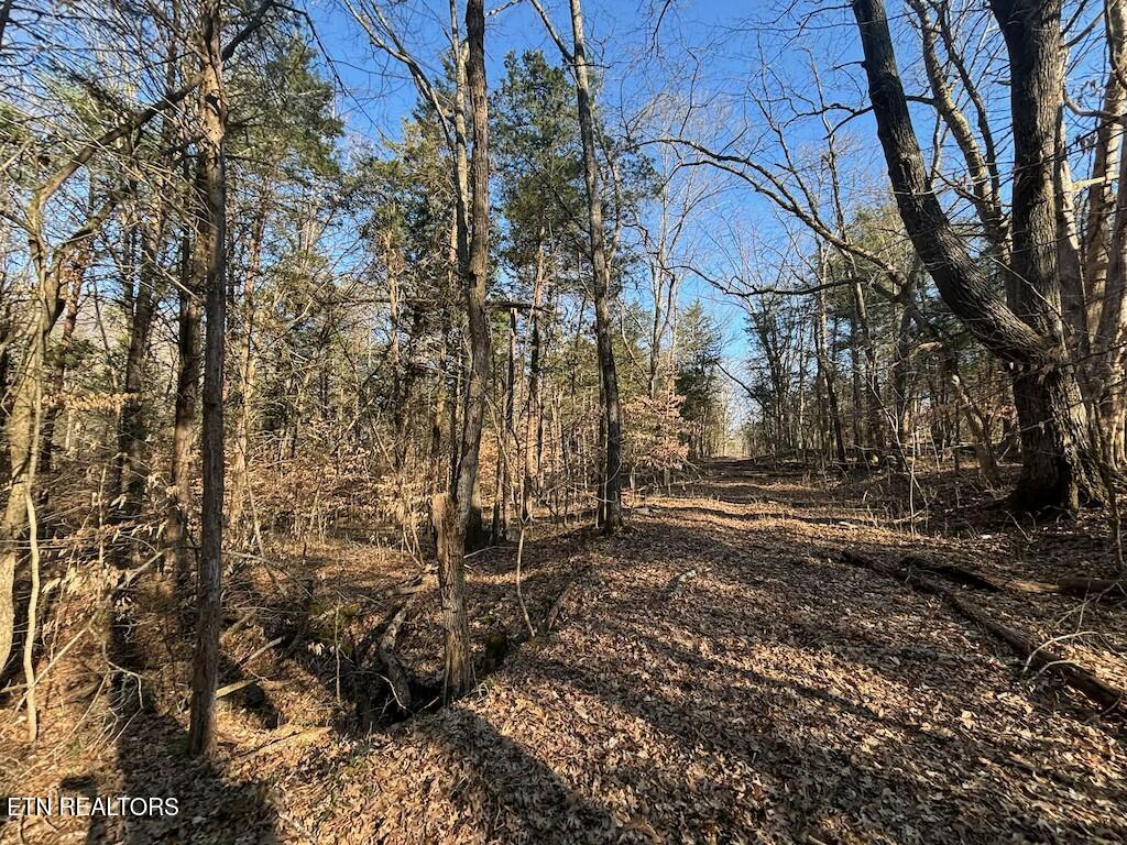 Valley Road Loudon, TN 37774 - Photo 4 of 15 tempImagegZsecs