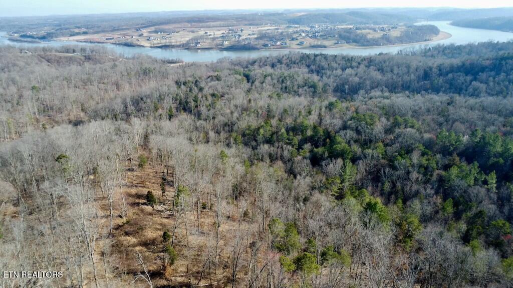 Valley Road Loudon, TN 37774 - Photo 8 of 15 tempImagebZUH87