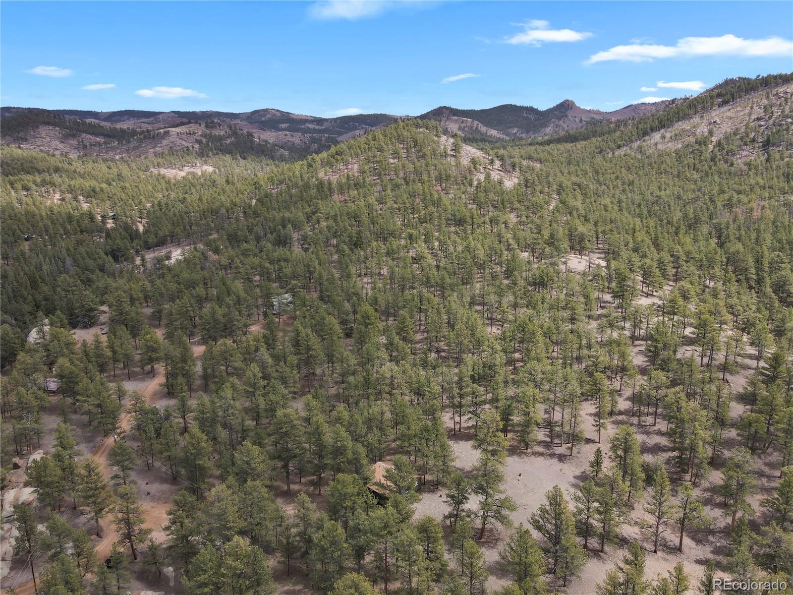 88 South Crystal Road Lake George, CO 80827 - Photo 3 of 17 Gallery Image 3